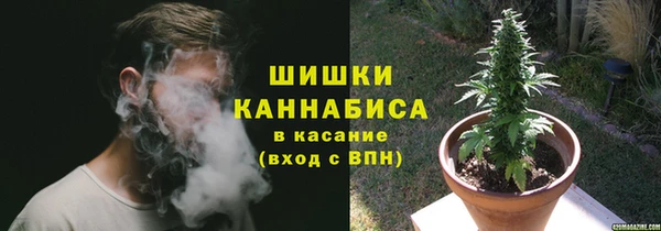 СК Няндома