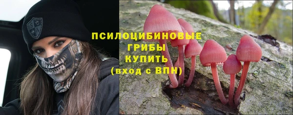 мет Нязепетровск