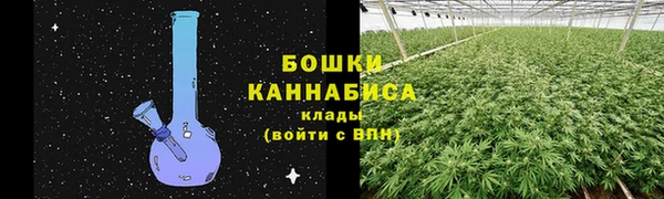СК Няндома