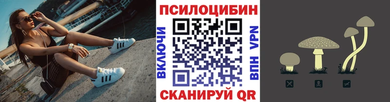 закладки  Козьмодемьянск  Галлюциногенные грибы Psilocybe 